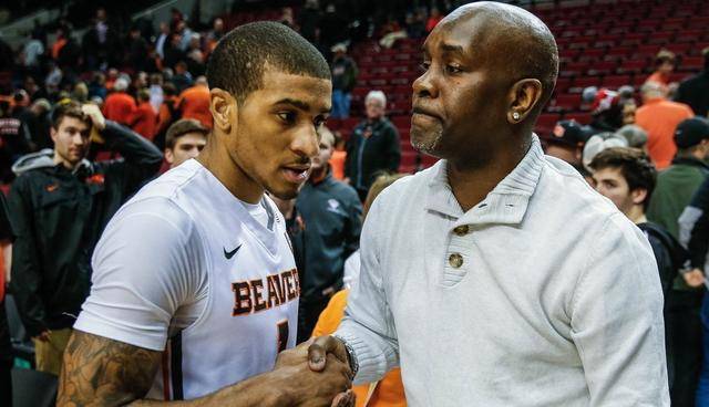 生涯亮点 生涯亮点